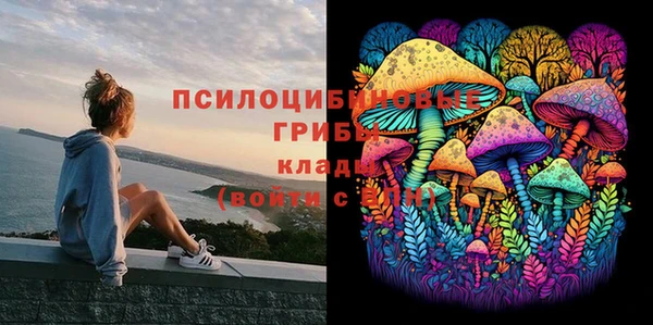 винт Аркадак
