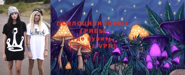 винт Аркадак