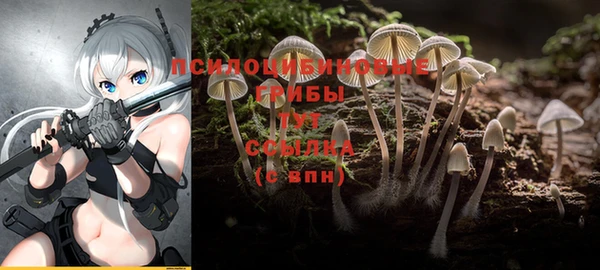 a pvp Армянск