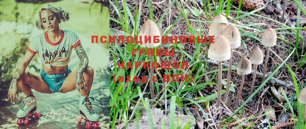 винт Аркадак